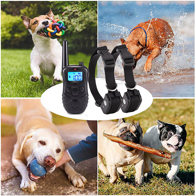 Dog Training Collars Electric Dog Collar 300m for 2 Dogs