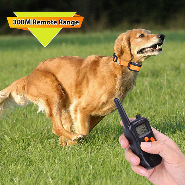 Dog Training Collar with Wireless Remote Rechargeable 300M